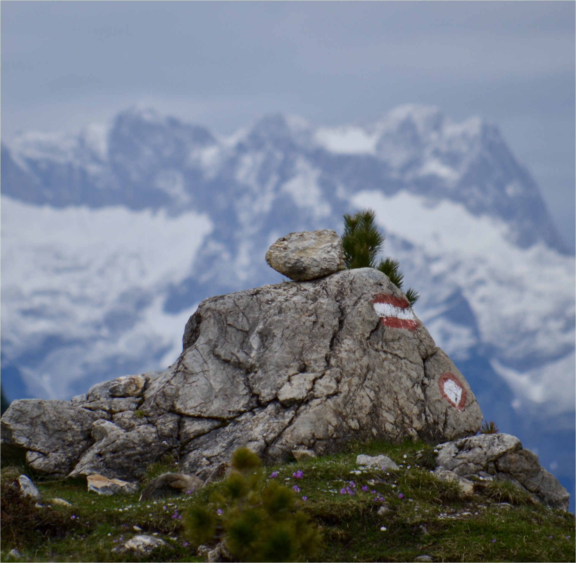 Wegmarkierung am Felsen im Wattental – alpine Landschaft mit Wanderzeichen